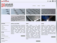 Tablet Screenshot of amir-feder.com